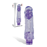 The Adam & Eve Chubby Fun Vibe, a 22.9 cm (9) purple translucent waterproof vibrator with detailed texture and phallic shape, stands upright against a white background. Its packaging box is in the top left corner displaying chubby fun vibe and features multi-speed vibration.