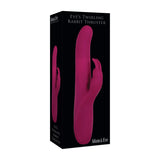 The black box of the Adam & Eve Eves Twirling Rabbit Thruster highlights a purple 24.1 cm USB rechargeable rabbit vibrator with a main shaft, smaller curved attachment for clitoral stimulation, and rotating beads, featuring the Adam & Eve brand at the bottom.