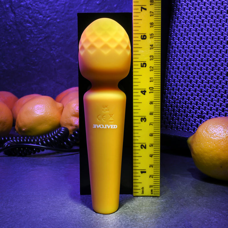 Buy Evolved SUNSHINE - Yellow 17 cm USB Rechargeable Massage Wand at NZ’s Mega Adult Toys Store. Discover premium sex toys with discreet shipping at the best price in NZ