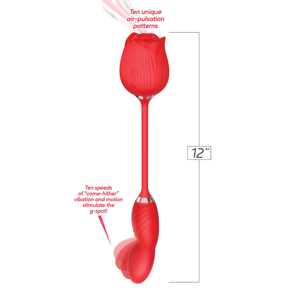 Buy Wild Rose Come Hither & Suction Vibrator - Red USB Rechargeable Air Pulse Stimulator and Vibrator at NZ’s Mega Adult Toys Store. Discover premium sex toys with discreet shipping at the best price in NZ