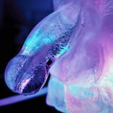 Buy Huge Penis Ice Luge - Party Novelty at NZ’s Mega Adult Toys Store. Discover premium sex toys with discreet shipping at the best price in NZ