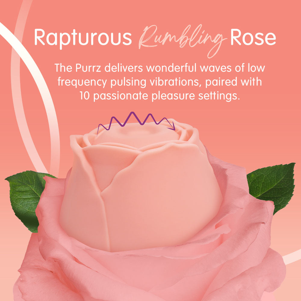 Buy Skins Rose Buddies - The Rose Purrz - Light Pink USB Rechargeable Pulsing Rose Stimulator at NZ’s Mega Adult Toys Store. Discover premium sex toys with discreet shipping at the best price in NZ