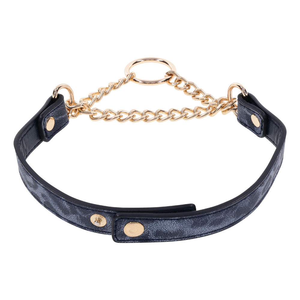 Buy Sex & Mischief Cougar Day Collar - Navy Blue/Gold Collar at NZ’s Mega Adult Toys Store. Discover premium sex toys with discreet shipping at the best price in NZ