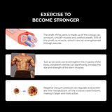 Infographic titled Exercise to Become Stronger features a penis cross-section diagram to highlight muscle tissue, a muscular torso image, and cells affected by suction, illustrating enhanced sexual performance using the LuvPump Automatic Penis Pump - Clear USB Rechargeable Automatic Penis Pump.