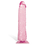 The Adam & Eve Pink Jelly Realistic Dildo features a pink, translucent veined texture and flexible shaft with a pronounced head. Its suction cup base stands upright, and the smooth, glossy surface beautifully reflects light against a white background.