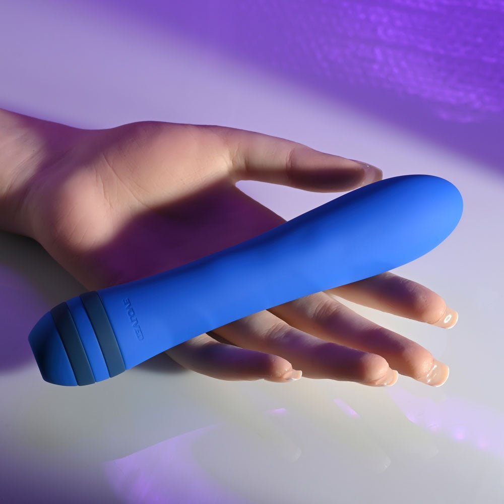 Buy Evolved THE PLEASER - Blue 16.5 cm USB Rechargeable Vibrator at NZ’s Mega Adult Toys Store. Discover premium sex toys with discreet shipping at the best price in NZ