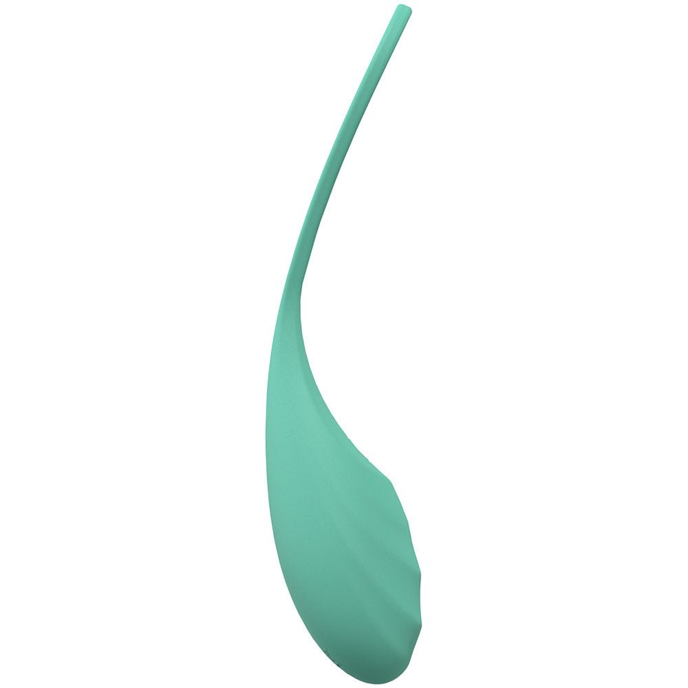 Buy LOVELINE Passion - Green - Green USB Rechargeable Vibrating Egg with Wireless Remote at NZ’s Mega Adult Toys Store. Discover premium sex toys with discreet shipping at the best price in NZ