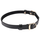 Buy Sex & Mischief Double Buckle Day Collar - Black Collar at NZ’s Mega Adult Toys Store. Discover premium sex toys with discreet shipping at the best price in NZ