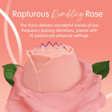 Buy Skins Rose Buddies - The Rose Purrz - Light Pink USB Rechargeable Pulsing Rose Stimulator at NZ’s Mega Adult Toys Store. Discover premium sex toys with discreet shipping at the best price in NZ